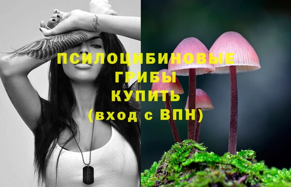 PSILOCYBIN Новозыбков