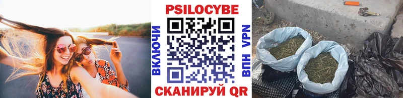 купить наркотики сайты  Кимовск  Псилоцибиновые грибы мицелий 