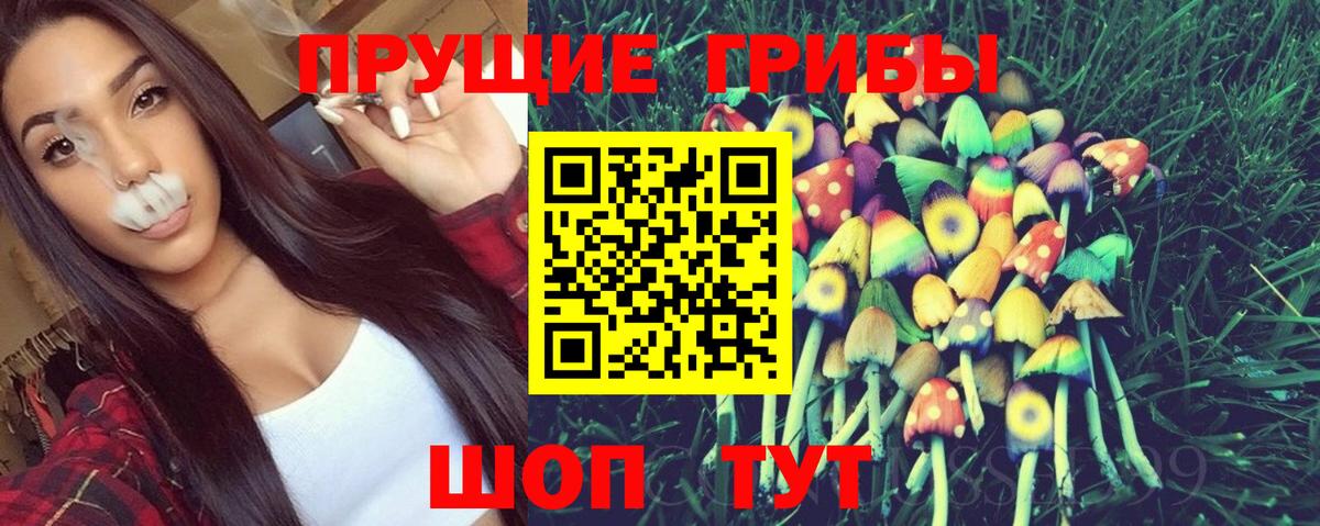 Псилоцибиновые грибы Psilocybine cubensis Кимовск