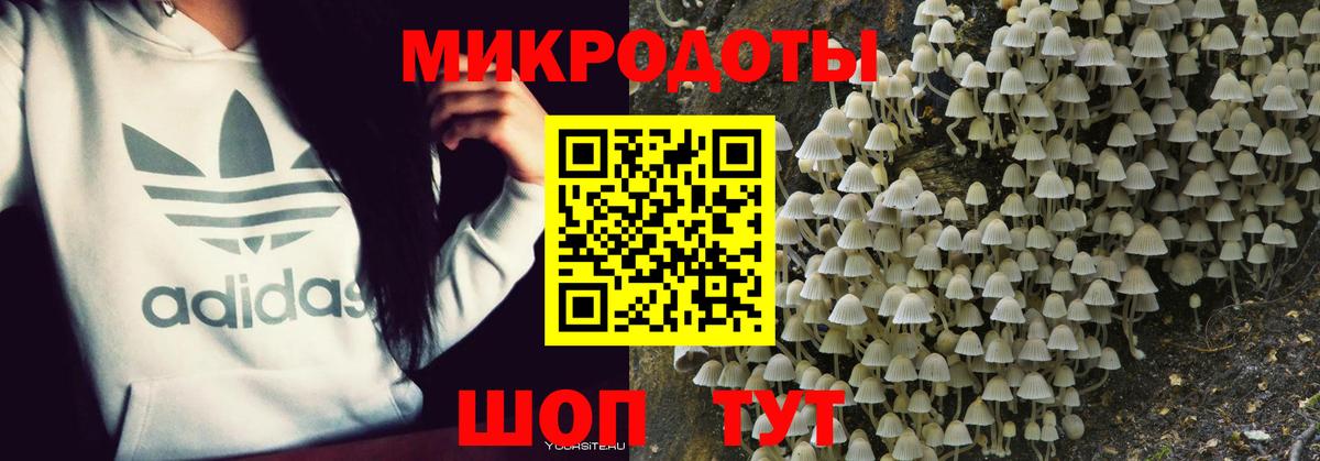 Кимовск  Галлюциногенные грибы прущие грибы  Галлюциногенные грибы мухоморы  Вход с VPN 