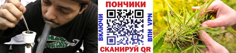 Бошки марихуана Bruce Banner хочу Кимовск